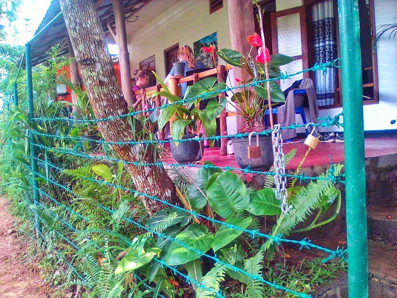 New Rose Villa Bandarawela Ella Exterior photo