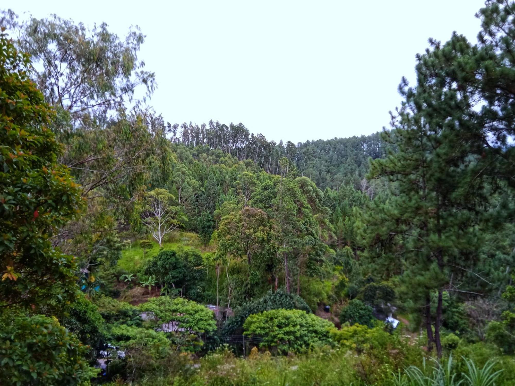 New Rose Villa Bandarawela Ella Exterior photo