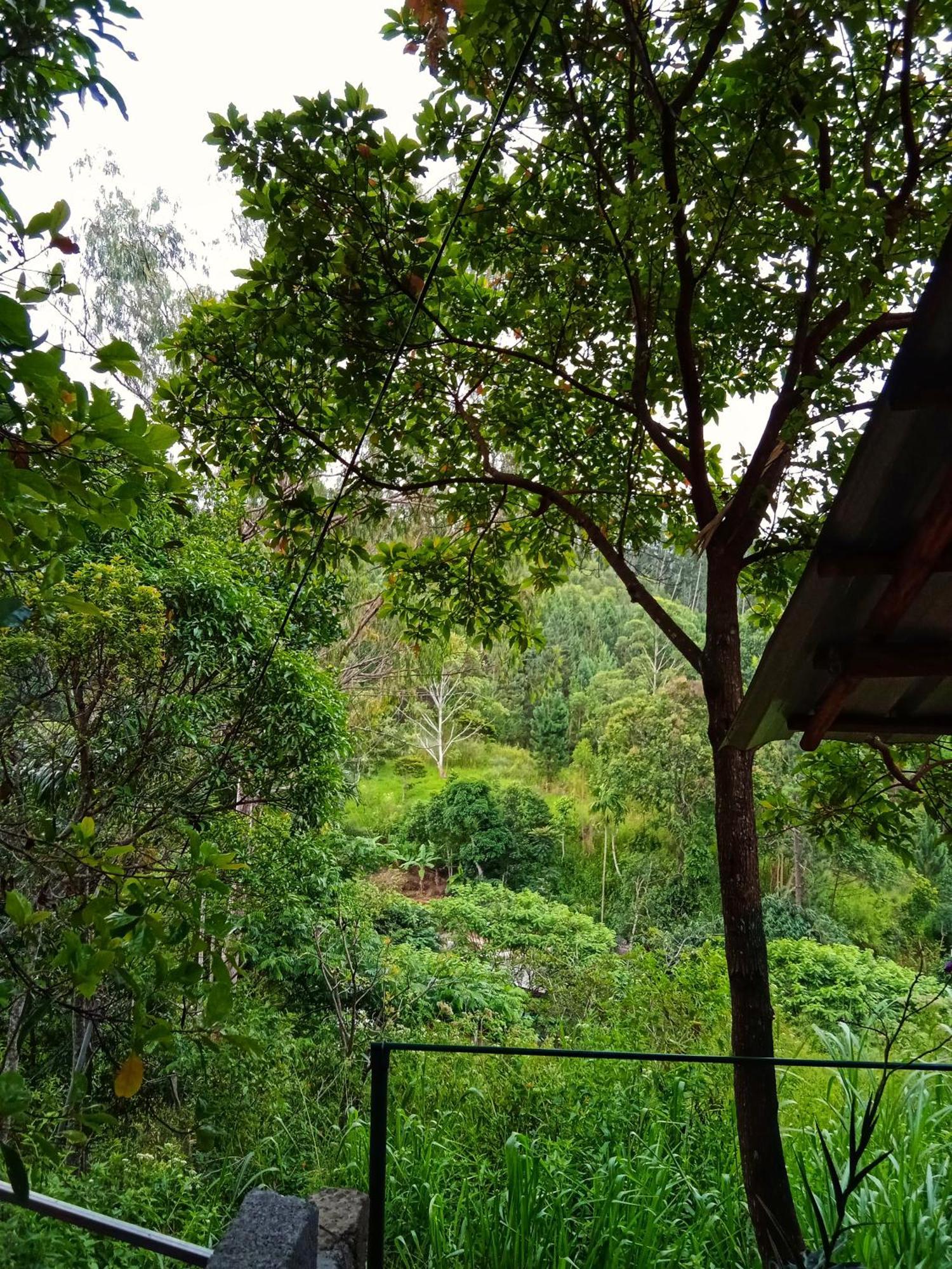 New Rose Villa Bandarawela Ella Exterior photo